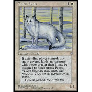 画像: 『英語版』Arctic Foxes