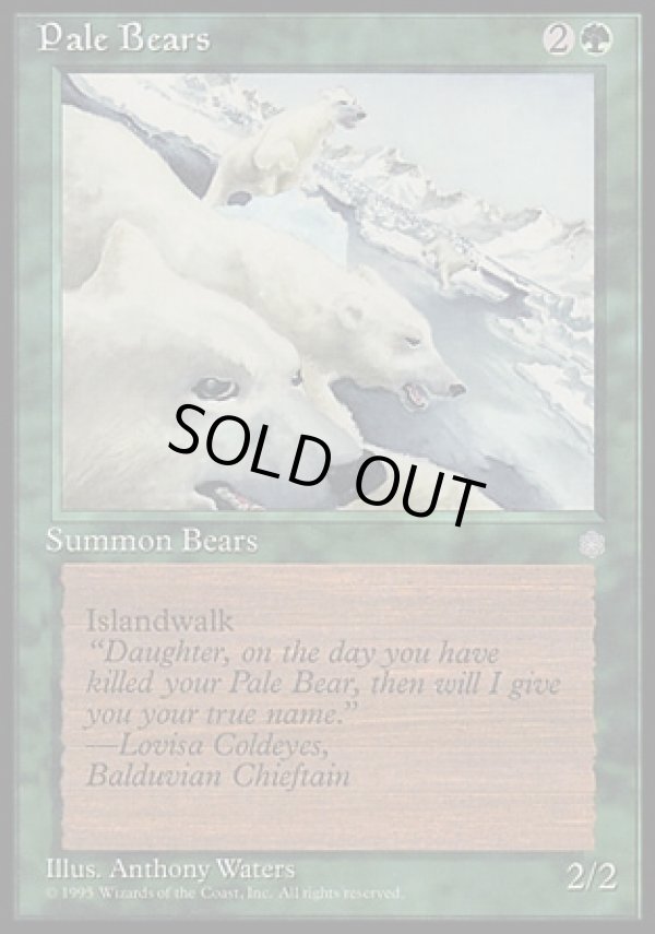 画像1: 『英語版』Pale Bears (1)