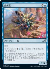 画像: 【日本語版】奇異鳥/Avian Oddity