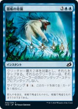 画像: 【日本語版】霜帳の奇襲/Frostveil Ambush