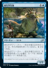 画像: 【日本語版】両生共生体/Pollywog Symbiote
