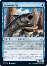 画像: 【日本語版】飛びかかる岸鮫/Pouncing Shoreshark