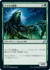 画像: 【日本語版】キヅタの精霊/Ivy Elemental