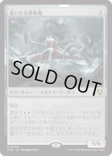 画像: 【Foil】【日本語版】老いたる深海鬼/Elder Deep-Fiend