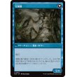 画像2: 【日本語版】逸脱した研究者/完成態/Aberrant Researcher/Perfected Form (2)