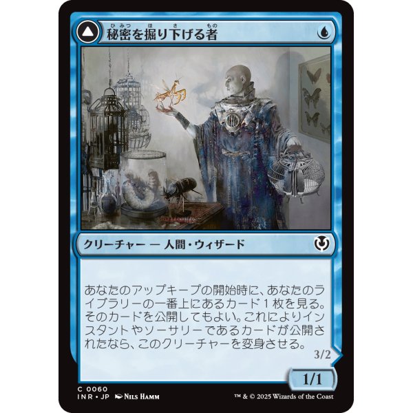 画像1: 【日本語版】秘密を掘り下げる者/昆虫の逸脱者/Delver of Secrets/Insectile Aberration (1)