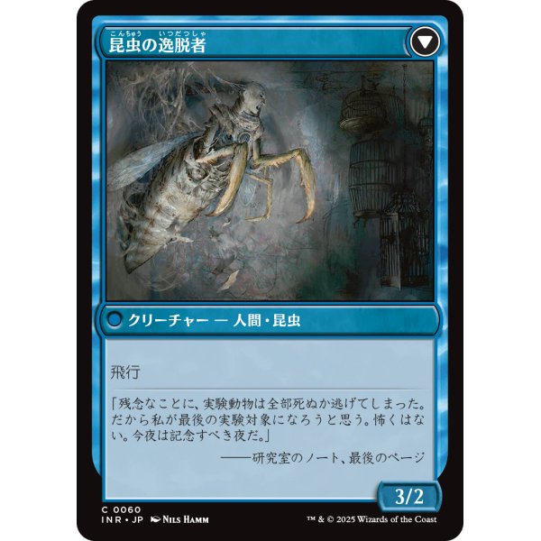 画像2: 【日本語版】秘密を掘り下げる者/昆虫の逸脱者/Delver of Secrets/Insectile Aberration (2)