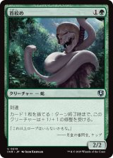 画像: 【日本語版】首絞め/Noose Constrictor