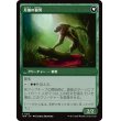 画像2: 【日本語版】軽蔑された村人/月傷の狼男/Scorned Villager/Moonscarred Werewolf (2)
