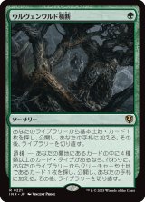 画像: 【日本語版】ウルヴェンワルド横断/Traverse the Ulvenwald