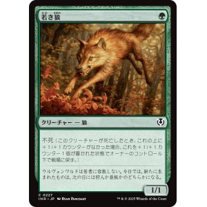 画像: 【日本語版】若き狼/Young Wolf