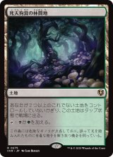 画像: 【日本語版】死天狗茸の林間地/Deathcap Glade