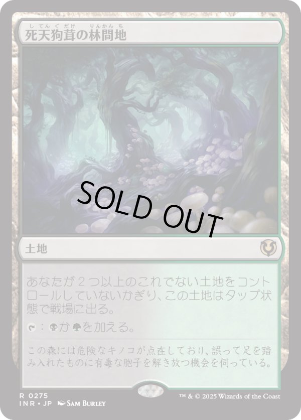 画像1: 【Foil】【日本語版】死天狗茸の林間地/Deathcap Glade (1)