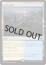 画像: 【日本語版】さびれた浜/Deserted Beach