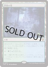 画像: 【Foil】【日本語版】夢根の滝/Dreamroot Cascade