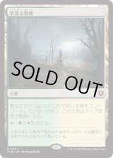 画像: 【Foil】【日本語版】草茂る農地/Overgrown Farmland