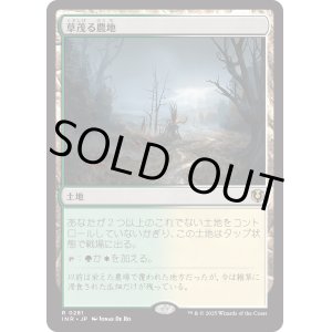 画像: 【Foil】【日本語版】草茂る農地/Overgrown Farmland