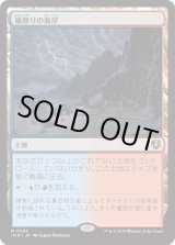 画像: 【Foil】【日本語版】嵐削りの海岸/Stormcarved Coast