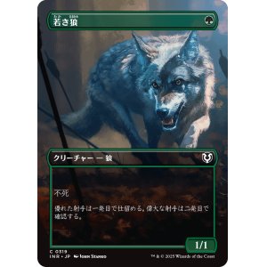 画像: 【Foil】【ボーダーレス】【日本語版】若き狼/Young Wolf