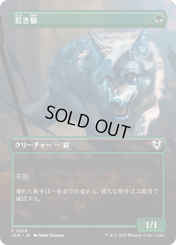 画像1: 【Foil】【ボーダーレス】【日本語版】若き狼/Young Wolf (1)