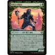 画像1: 【Foil】【ショーケース】【日本語版】薄暮見の徴募兵/爪の群れの咆哮者/Duskwatch Recruiter/Krallenhorde Howler (1)