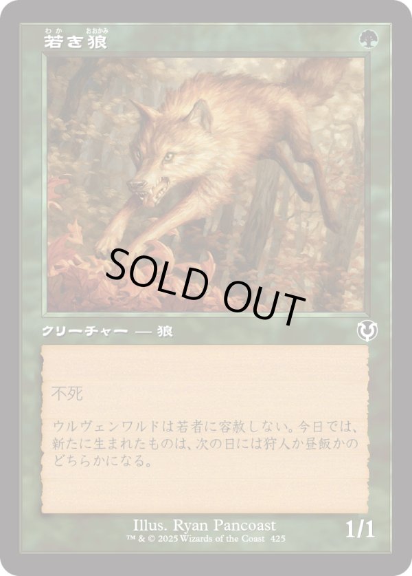 画像1: 【Foil】【旧枠】【日本語版】若き狼/Young Wolf (1)