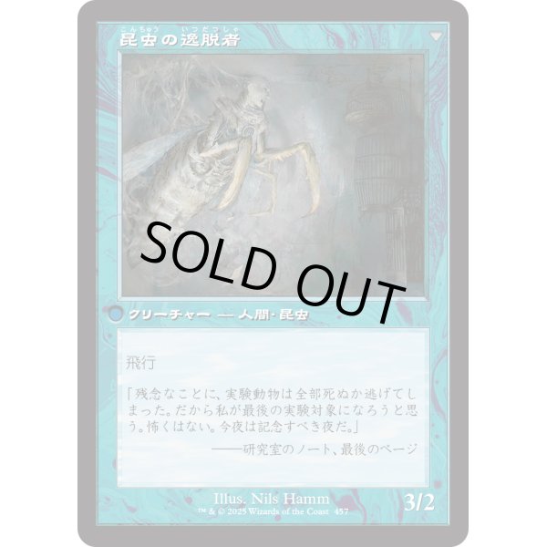 画像2: 【Foil】【旧枠】【日本語版】秘密を掘り下げる者/昆虫の逸脱者/Delver of Secrets/Insectile Aberration (2)