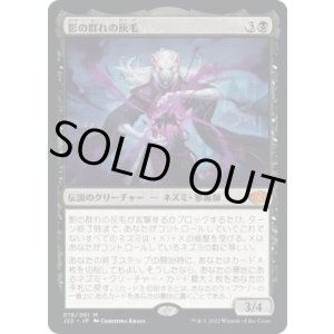 画像: 【日本語版】影の群れの灰毛/Ashcoat of the Shadow Swarm