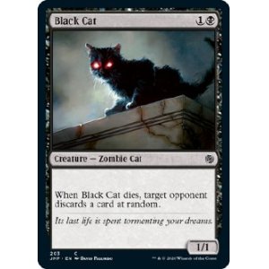 画像: 『英語版』黒猫/Black Cat