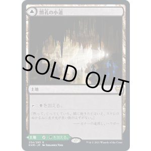 画像: 【日本語版】闇孔の小道/蛇孔の小道/Darkbore Pathway/Slitherbore Pathway