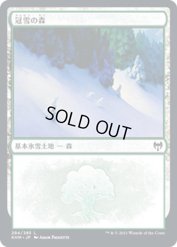 画像1: 【日本語版】冠雪の森/Snow-Covered Forest (1)