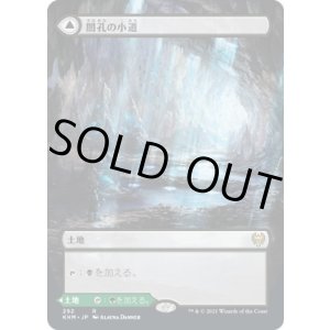 画像: 【ボーダーレス】【日本語版】闇孔の小道/蛇孔の小道/Darkbore Pathway/Slitherbore Pathway