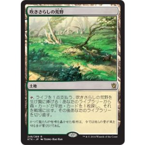 画像: 【日本語版】吹きさらしの荒野/Windswept Heath
