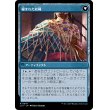 画像2: 【Foil】【日本語版】編まれた網/Braided Net (2)