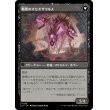 画像2: 【日本語版】戦慄の容貌/Visage of Dread (2)