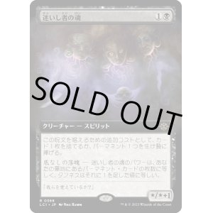 画像: 【Foil】【拡張枠】【日本語版】迷いし者の魂/Souls of the Lost