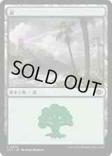 画像: 【日本語版】森/Forest