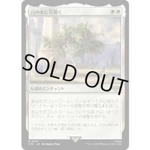 画像: 【Foil】【日本語版】白の木に花開く/Flowering of the White Tree