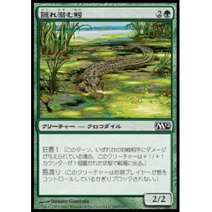 画像: 【日本語版】隠れ潜む鰐/Lurking Crocodile