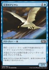 画像: 【日本語版】天空のアジサシ/Welkin Tern
