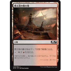 画像: 【日本語版】燃え殻の痩せ地/Cinder Barrens