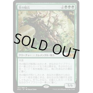画像: 【日本語版】茨の騎兵/Cavalier of Thorns