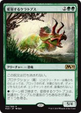 画像: 【日本語版】変容するケラトプス/Shifting Ceratops