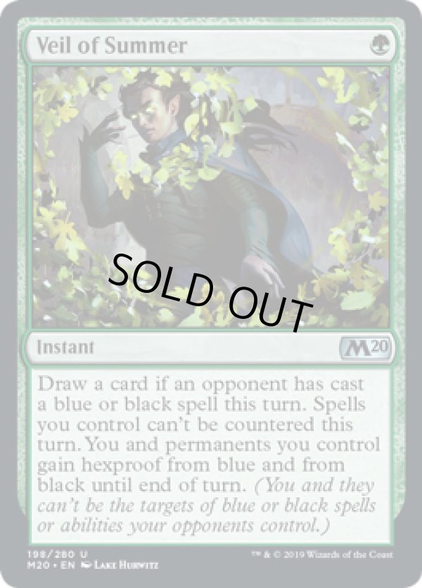 画像1: 『英語版』夏の帳/Veil of Summer (1)