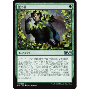 画像: 【Foil】【日本語版】夏の帳/Veil of Summer