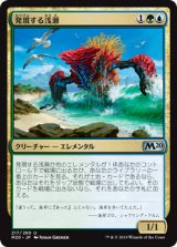 画像: 【日本語版】発現する浅瀬/Risen Reef