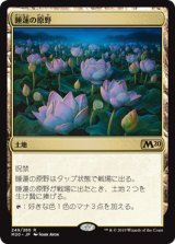 画像: 【日本語版】睡蓮の原野/Lotus Field