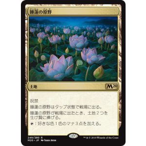画像: 【日本語版】睡蓮の原野/Lotus Field