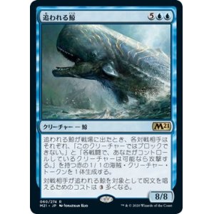 画像: 【日本語版】追われる鯨/Pursued Whale