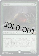 画像: 【プロモ版】【日本語版】漁る軟泥/Scavenging Ooze